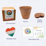 19 - Plantable Heart Kit