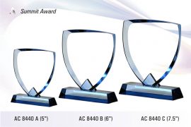 AC_8440-Summit-Award
