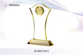 AC_8441-Medallion