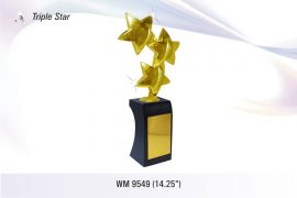 Triple-Star-WM_9549